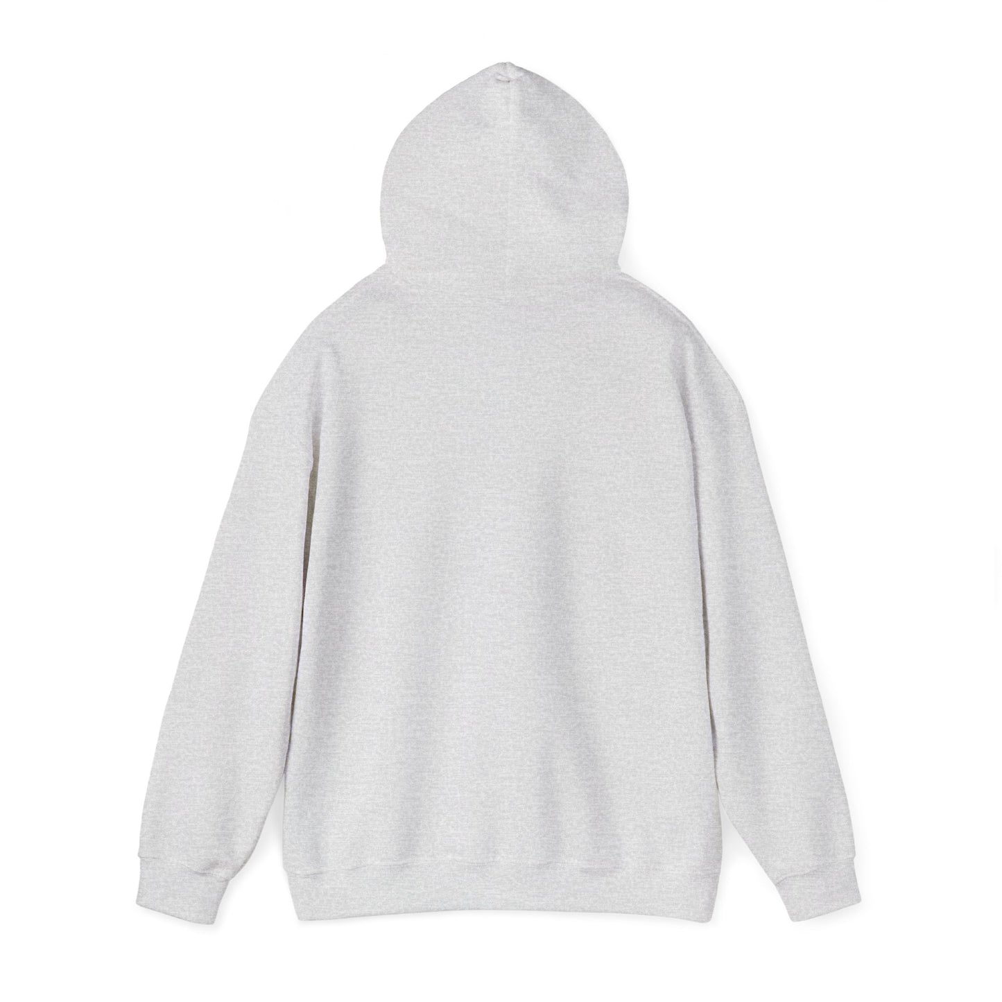 Stray Kids 'On My Way to the next Stray Kids concert’ Hoodie