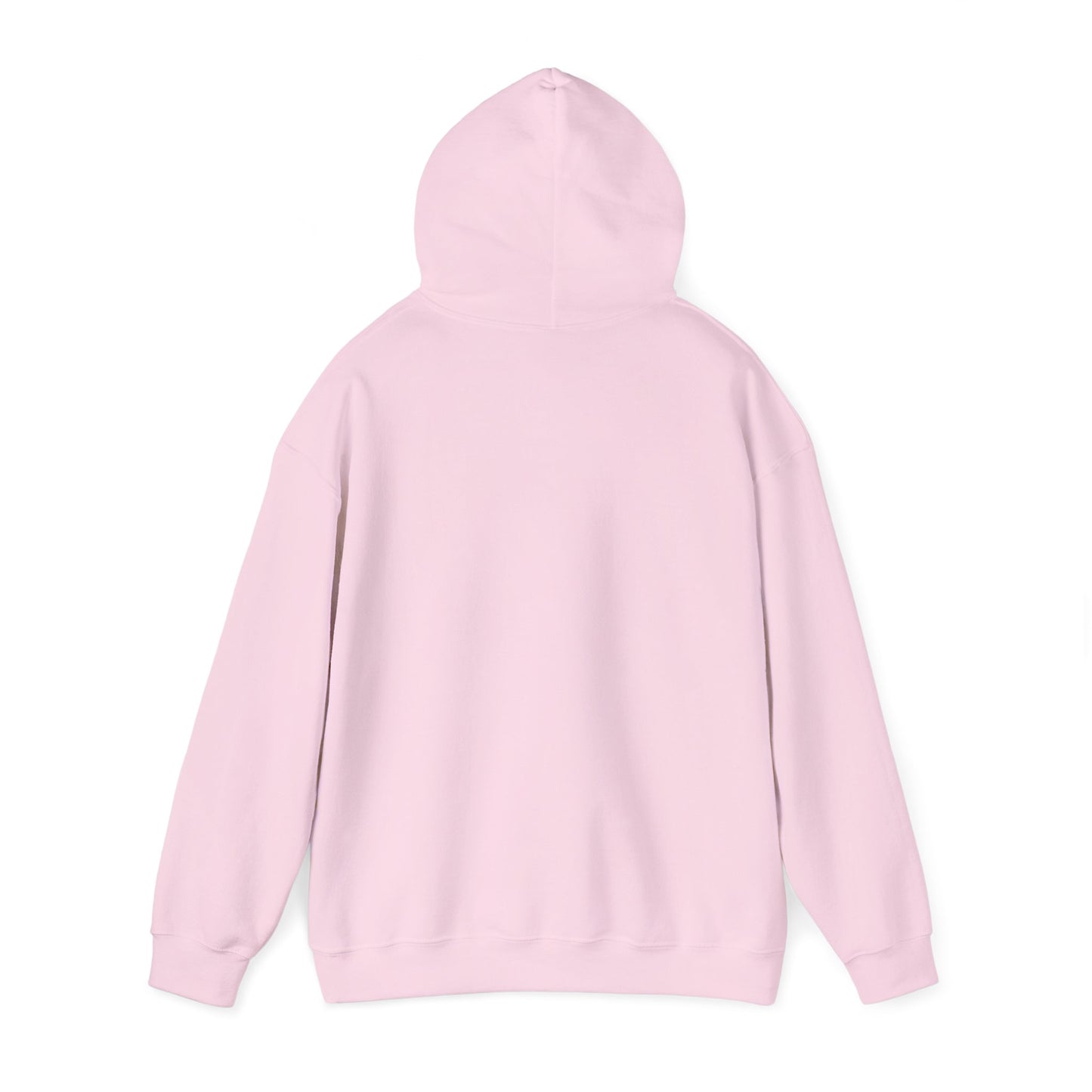 Stray Kids 'On My Way to the next Stray Kids concert’ Hoodie